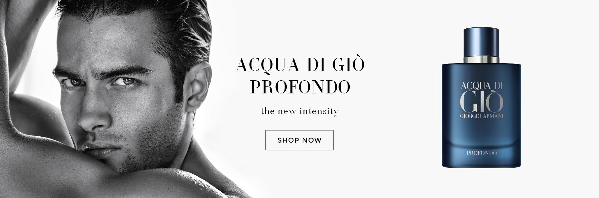 giorgio armani website