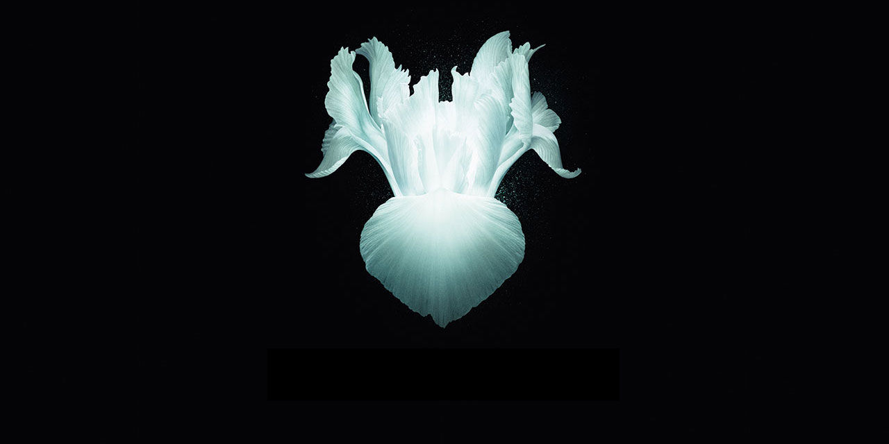 armani privé iris celadon