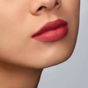 lip maestro freeze 410