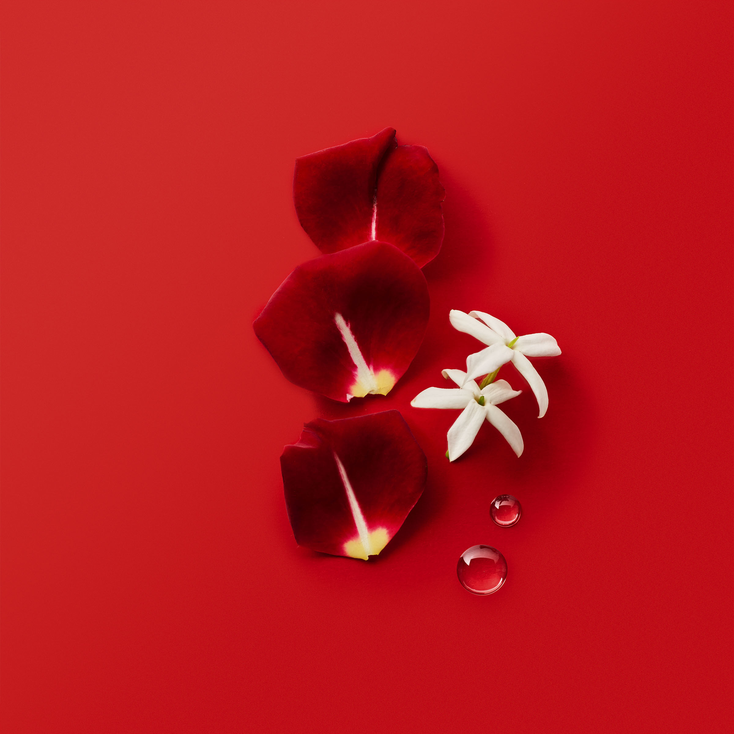 armani si passione duty free