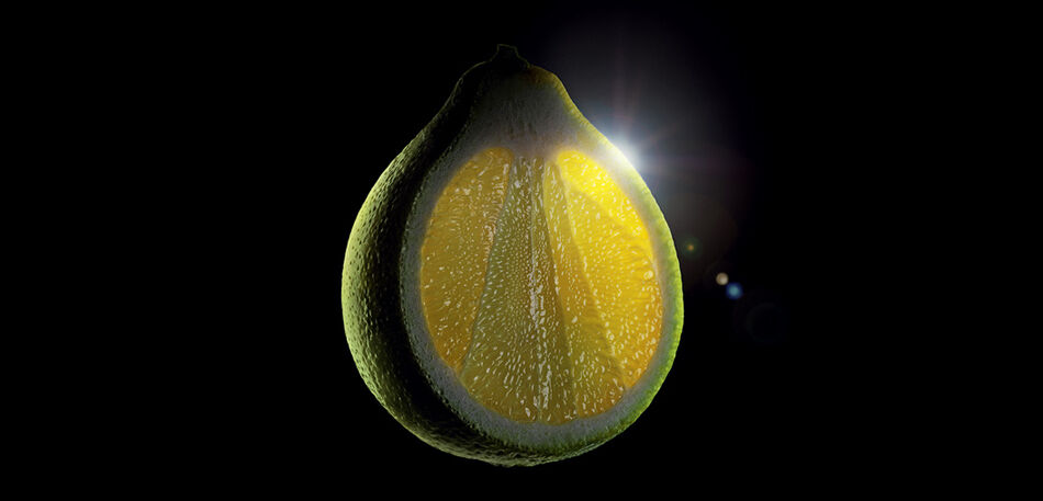 armani prive fig