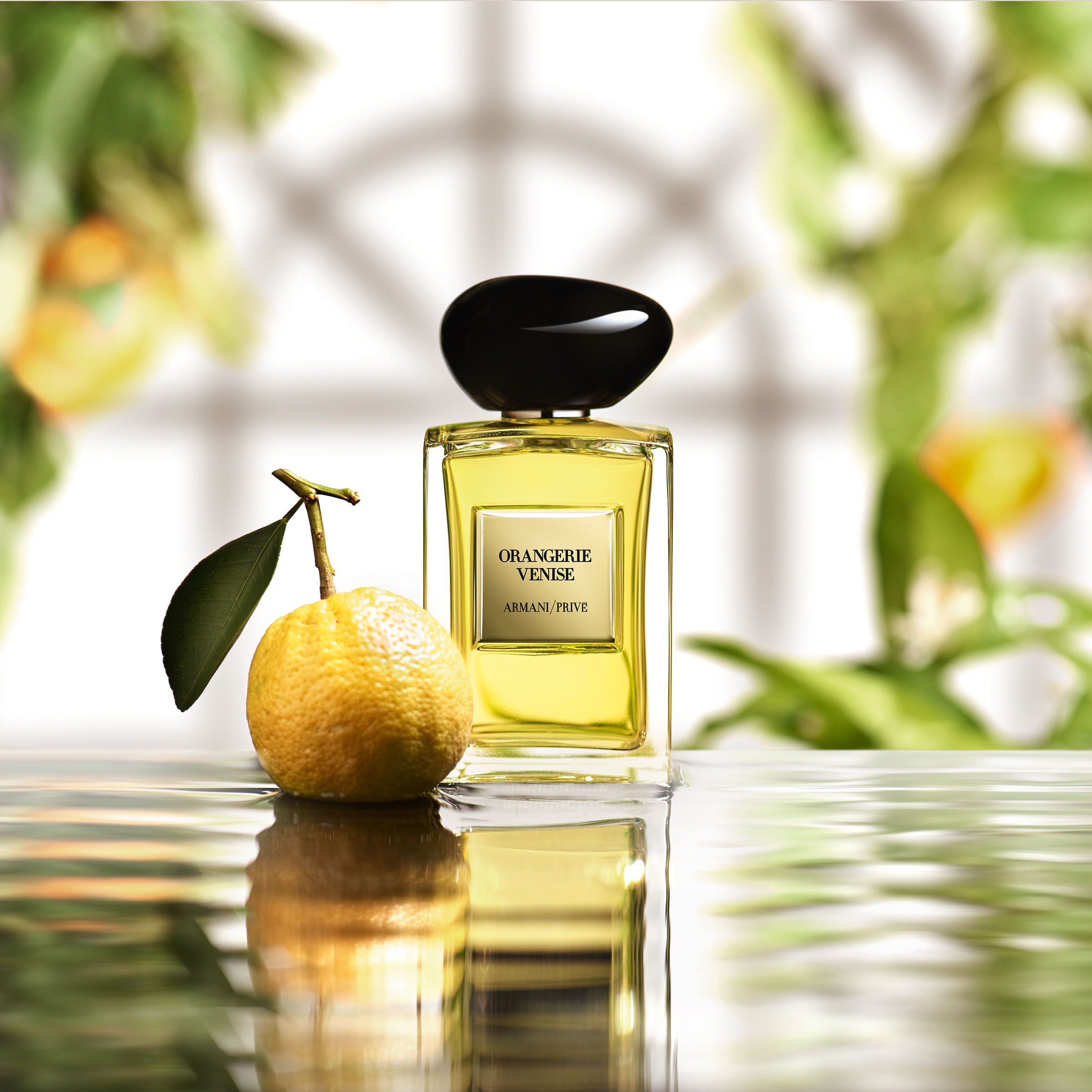 Armani 2025 orangerie venise