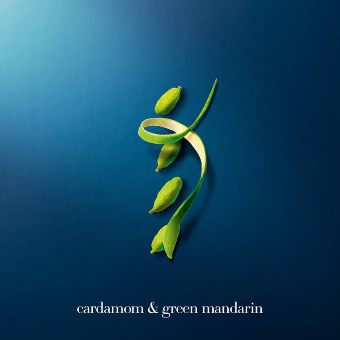 armani profondo lights