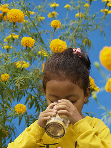 Acqua for Life Nepal